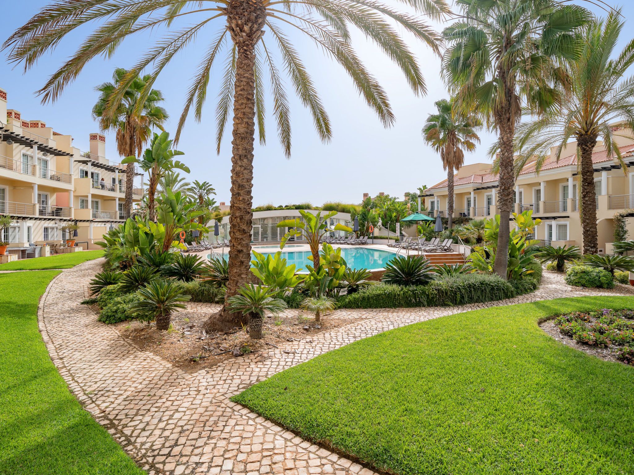 A pool area with palm trees, a clear sky, and a building with balconies.