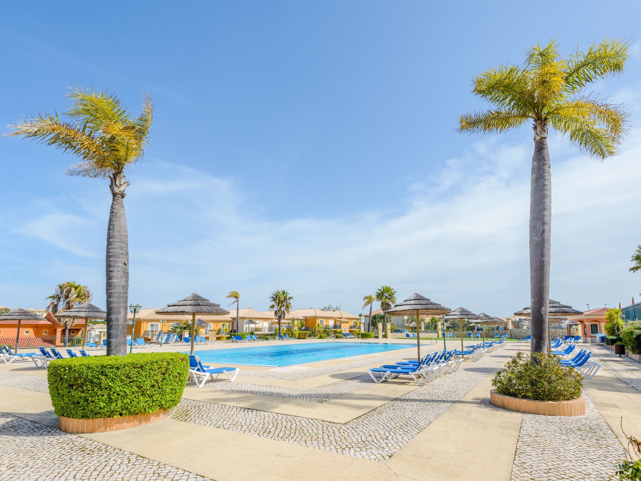 A resort pool area with lounge chairs, palm trees, and a clear blue sky.