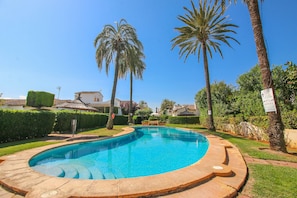 Ein Swimmingpool, umgeben von Palmen und gepflegten Hecken.