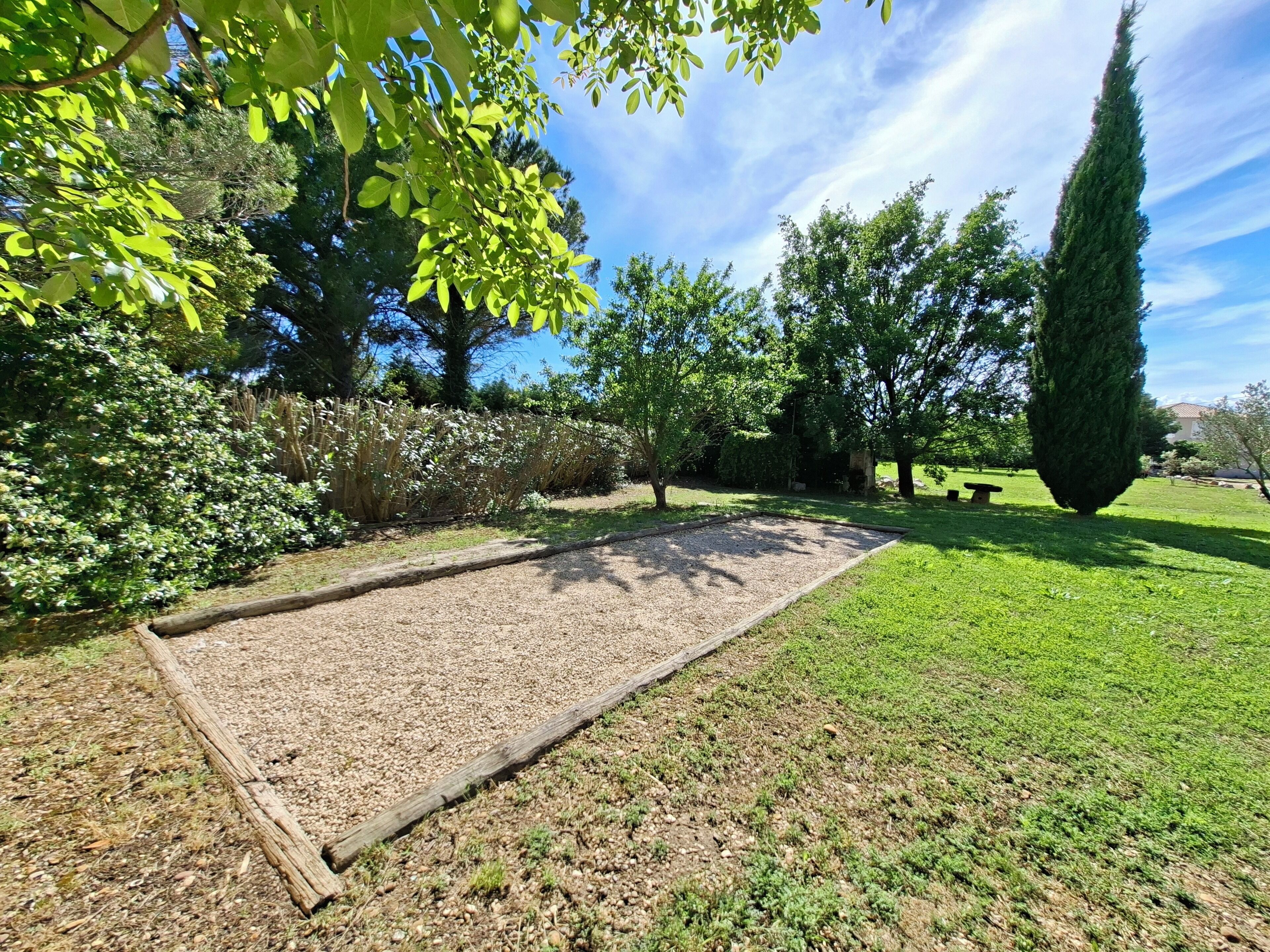 Un jardín con zona de grava, árboles y un alto conífero.