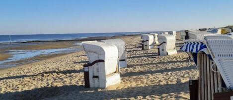 Sillas alineadas en la arena frente a una playa con vista despejada al océano.