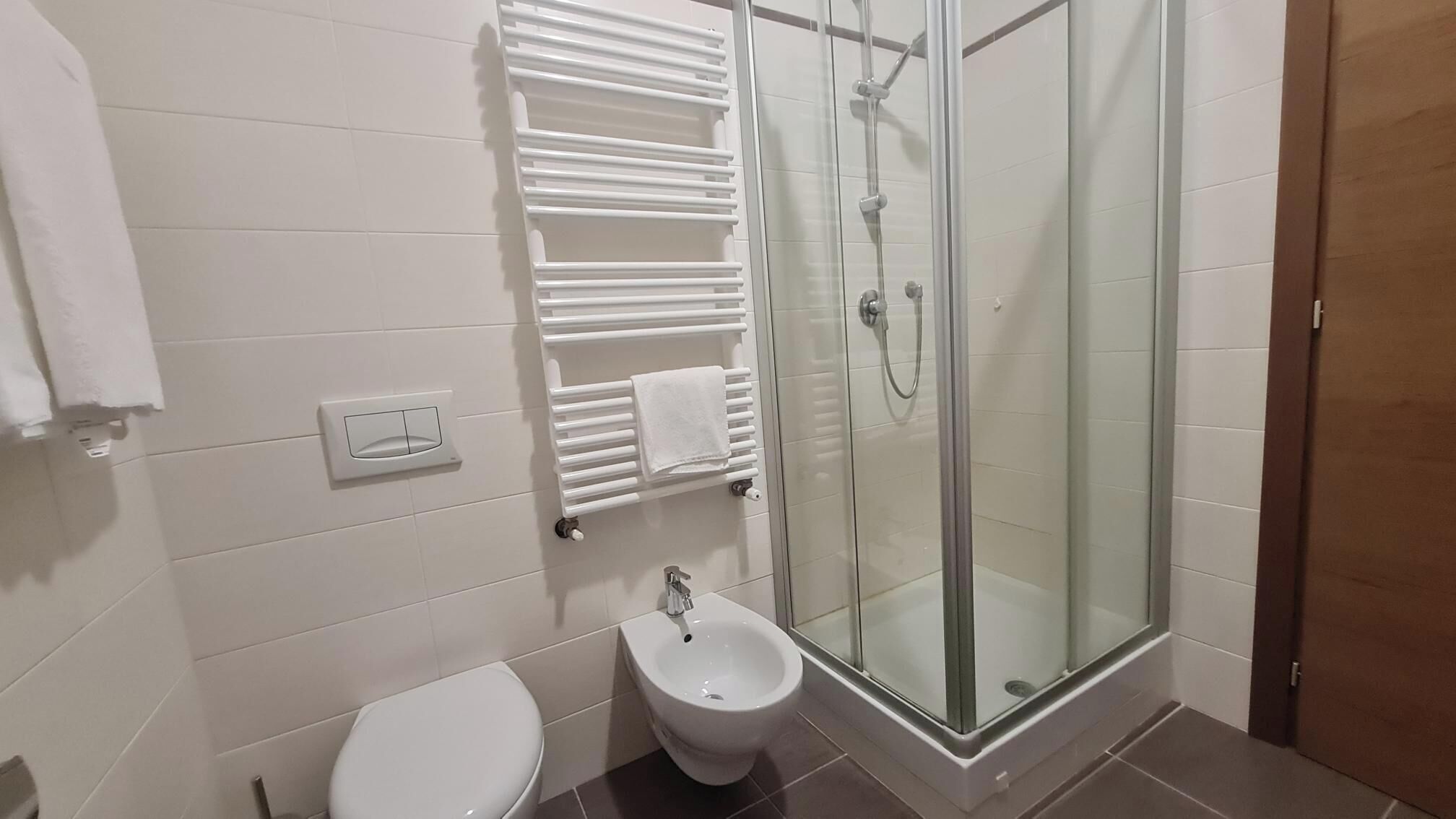 Hair dryer, bidet, towels, soap