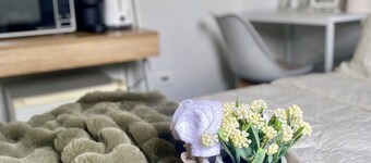 Private Guest Suite in Mt Louisa, 15 minutes Airport Access