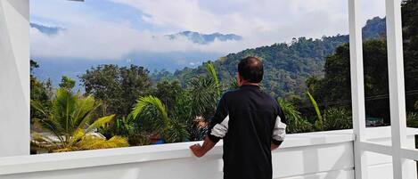 Un hombre de pie junto a una ventana con vistas a un paisaje montañoso de vegetación exuberante.