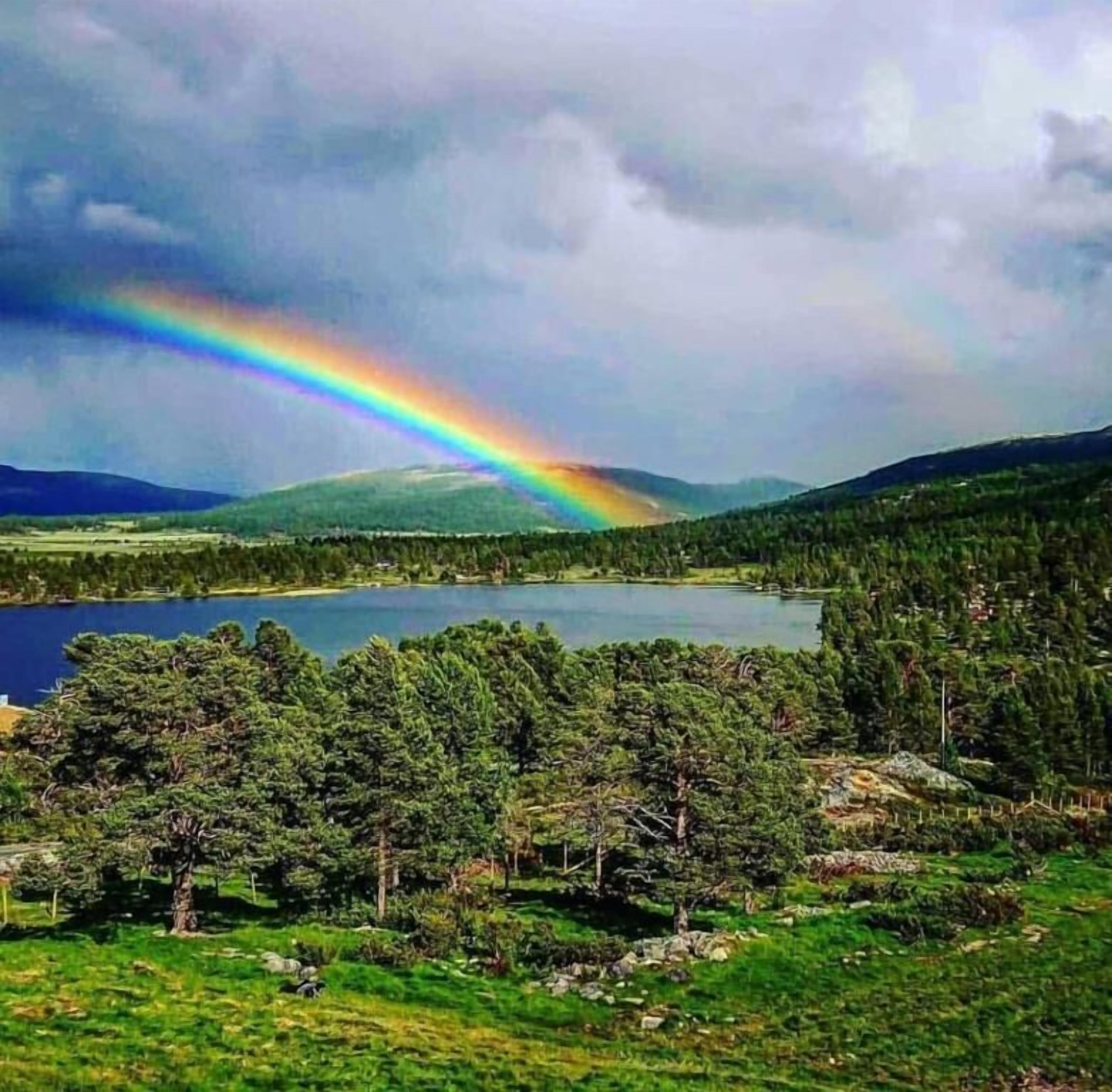 Övrigt