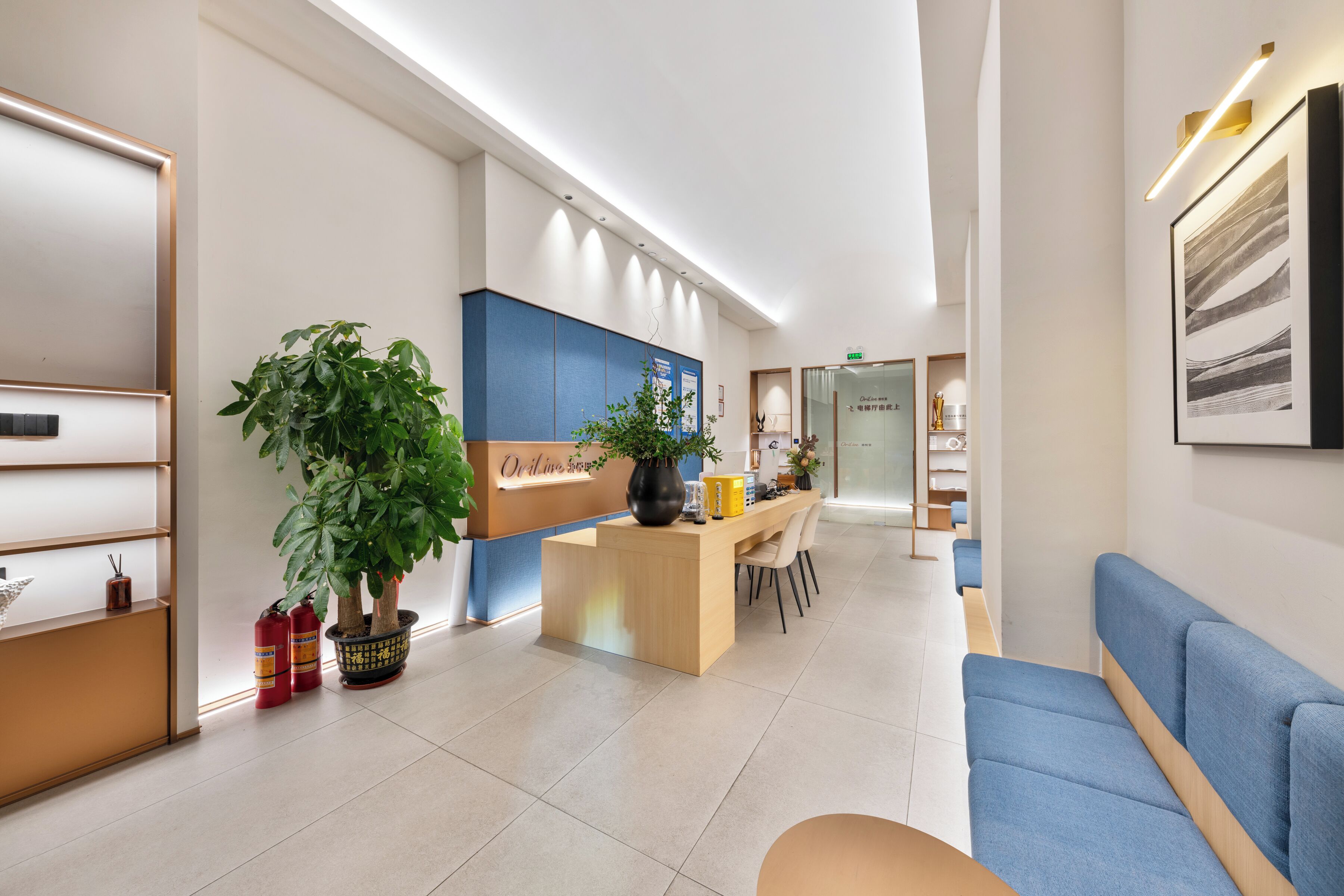 A modern hotel lobby with a reception desk, seating area, and a large potted plant.