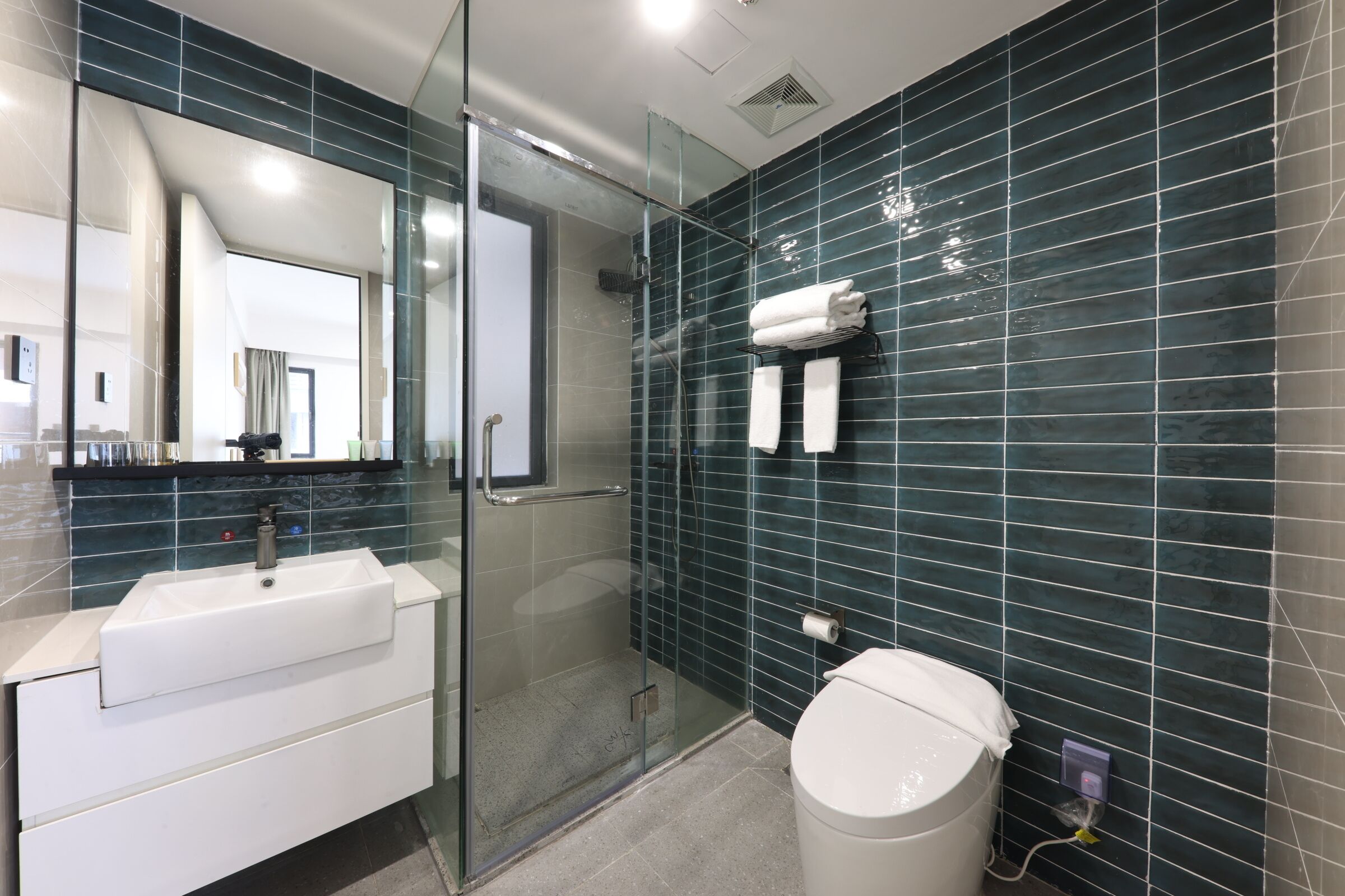 A modern bathroom with a glass-enclosed shower, a white sink, and a toilet.