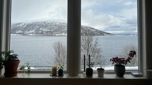 A window with a view of a lake and mountains, potted plants on the windowsill, and a candle.
