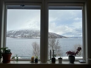 Ein Fenster mit Blick auf einen See und Berge, Blumentöpfe im Fensterbrett und eine Kerze.
