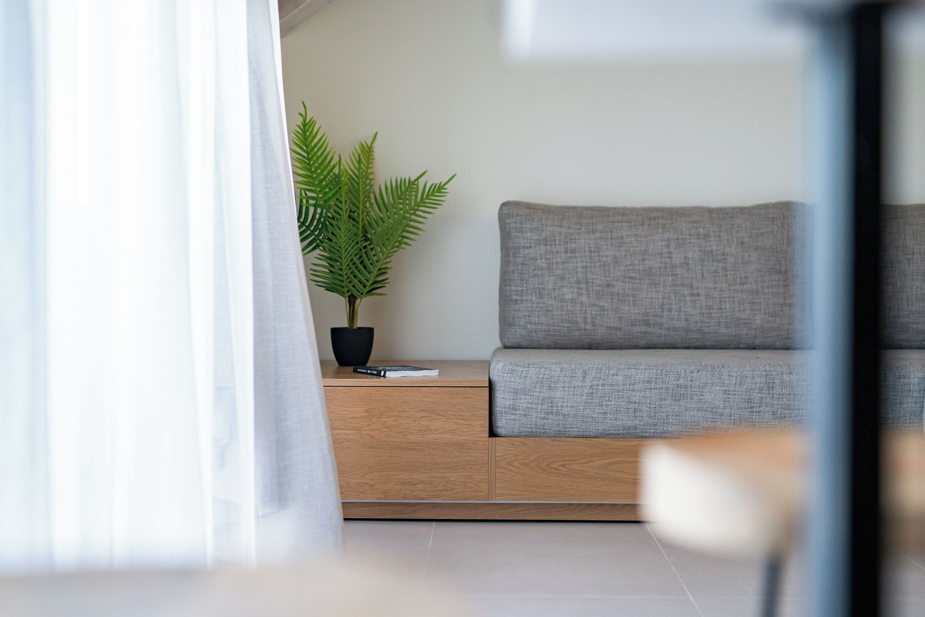 A modern living room with a grey sofa, wooden side table, and a potted plant.
