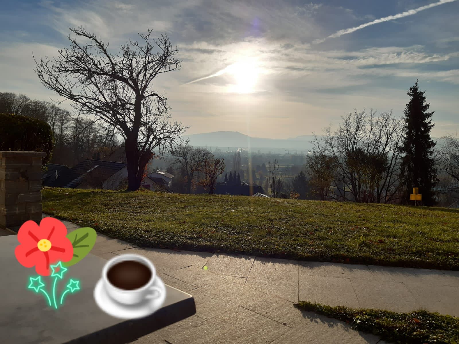 A view of a residential area with a clear sky, a sunlit landscape, and a coffee cup on a table.