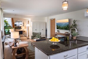 Smart TV - 2 BR + Free Private Parking - Sun Filled Tall Windows-Exposed Beam High Ceilings (Roanoke)