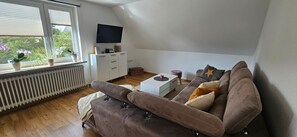 Fernseher, Stereoanlage