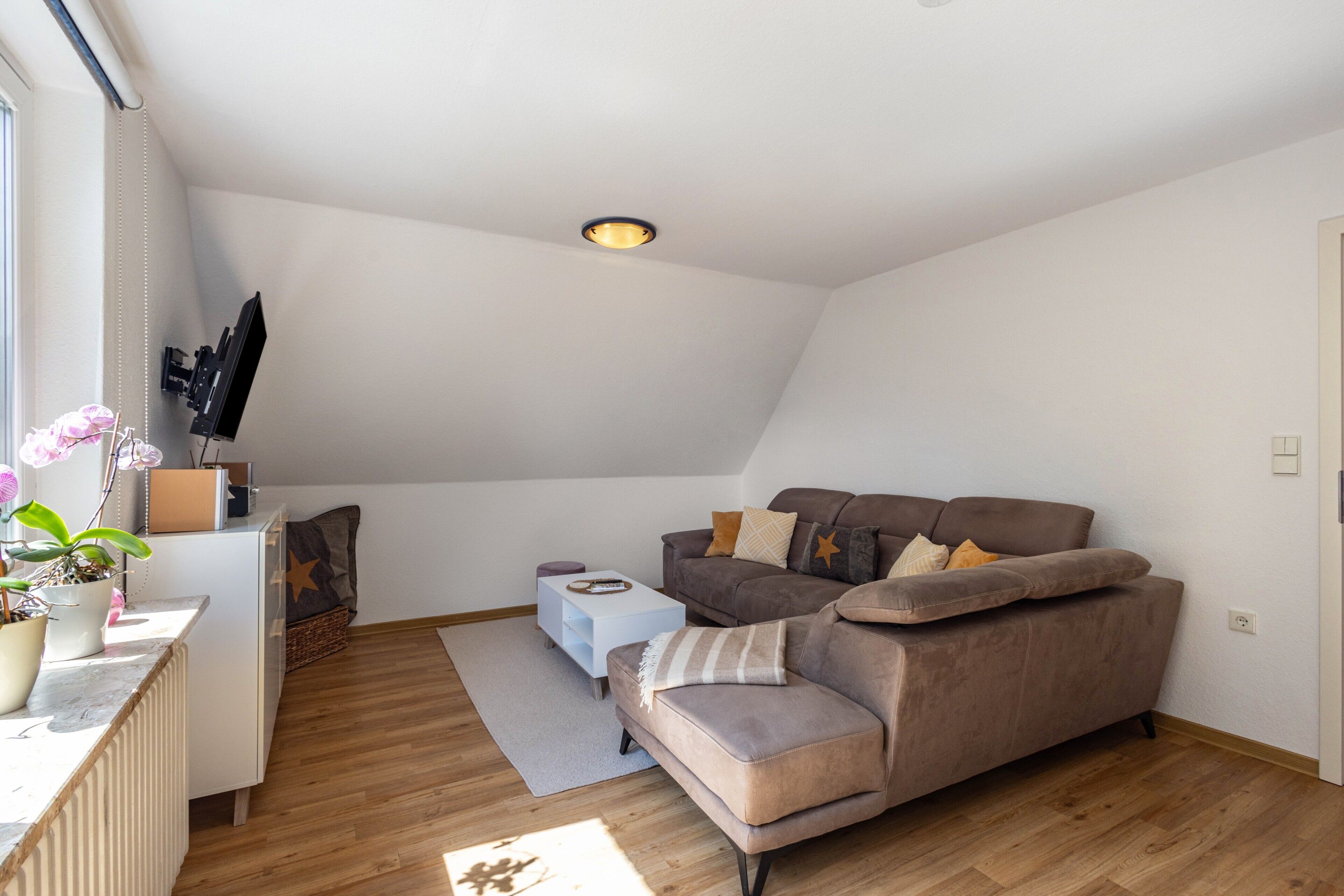 En moderne stue med en brun sofa, et hvidt sofabord og et lille rundt bord. Der er et vindue med udsigt, en loftlampe og en plante på vindueskarmen.