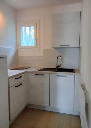 Fridge, microwave, stovetop, coffee/tea maker - Apartment 'Appt Saint Remy De Provence' with Private Terrace and Wi-Fi (Saint-Étienne)