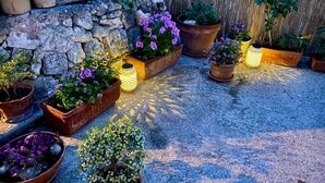 A garden with potted plants and a stone wall. - Residence Mattinatella - Apartment 2 (Mattinata)