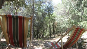Two striped lounge chairs in a forested area with trees and a ground covered in leaves. - VAISON LA ROMAINE QUIET LITTLE HOUSE IN THE COUNTRYSIDE (Crestet)