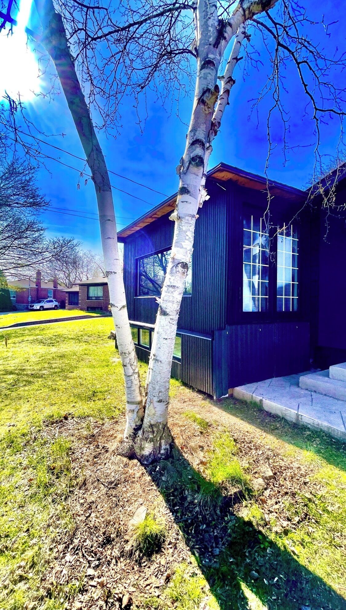 Un bâtiment moderne à l’extérieur sombre, doté de grandes fenêtres, entouré d’une cour verdoyante et d’un arbre.