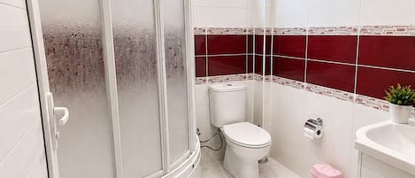Shower, towels, toilet paper