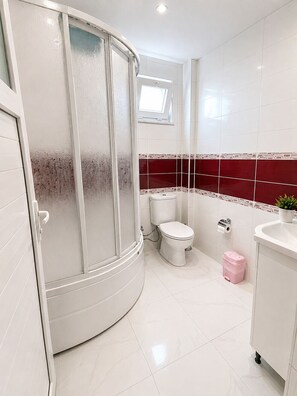 Shower, towels, toilet paper