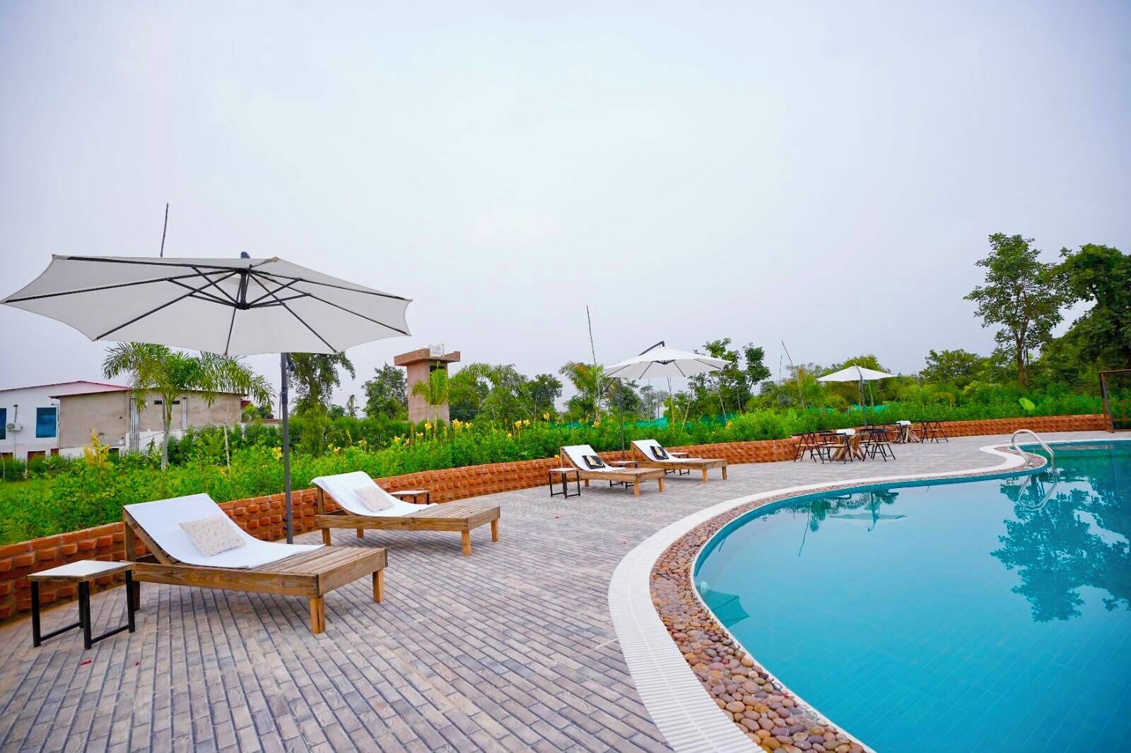 A poolside area with lounge chairs, umbrellas, and a brick pathway.