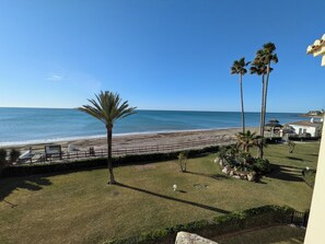 Blick auf einen Strand mit einer Palme, einer Rasenfläche und einem Gebäude mit einem Schild.