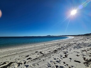 Serviettes de plage