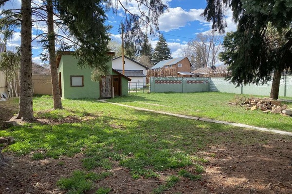 Back yard
