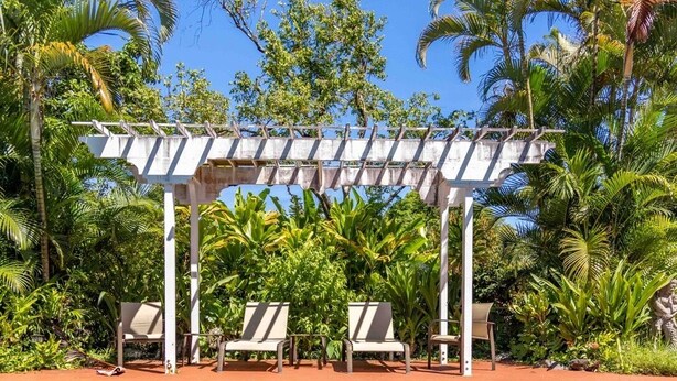 Une piscine à l’eau d’un bleu cristallin, entourée d’une végétation luxuriante et agrémentée d’une pergola blanche avec des chaises longues.