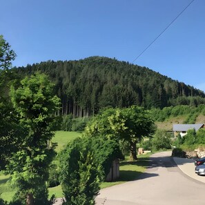 A rural road with a house on the right, surrounded by trees and a forested hill. - Waldbauernhof Apartment 1 (Hornberg)