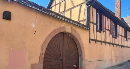Gîte, Piscine Chauffée à Hunawihr, Ribeauvillé et Colmar sur la route des Vins