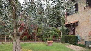 A stone building with a garden, a tree, and a potted plant. - Casa Teo:  Relaxation and Culture  in the Heart of Tuscany (Toscana)