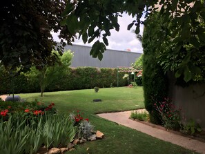 Een tuin met een pad, een kleine boom en een haag.