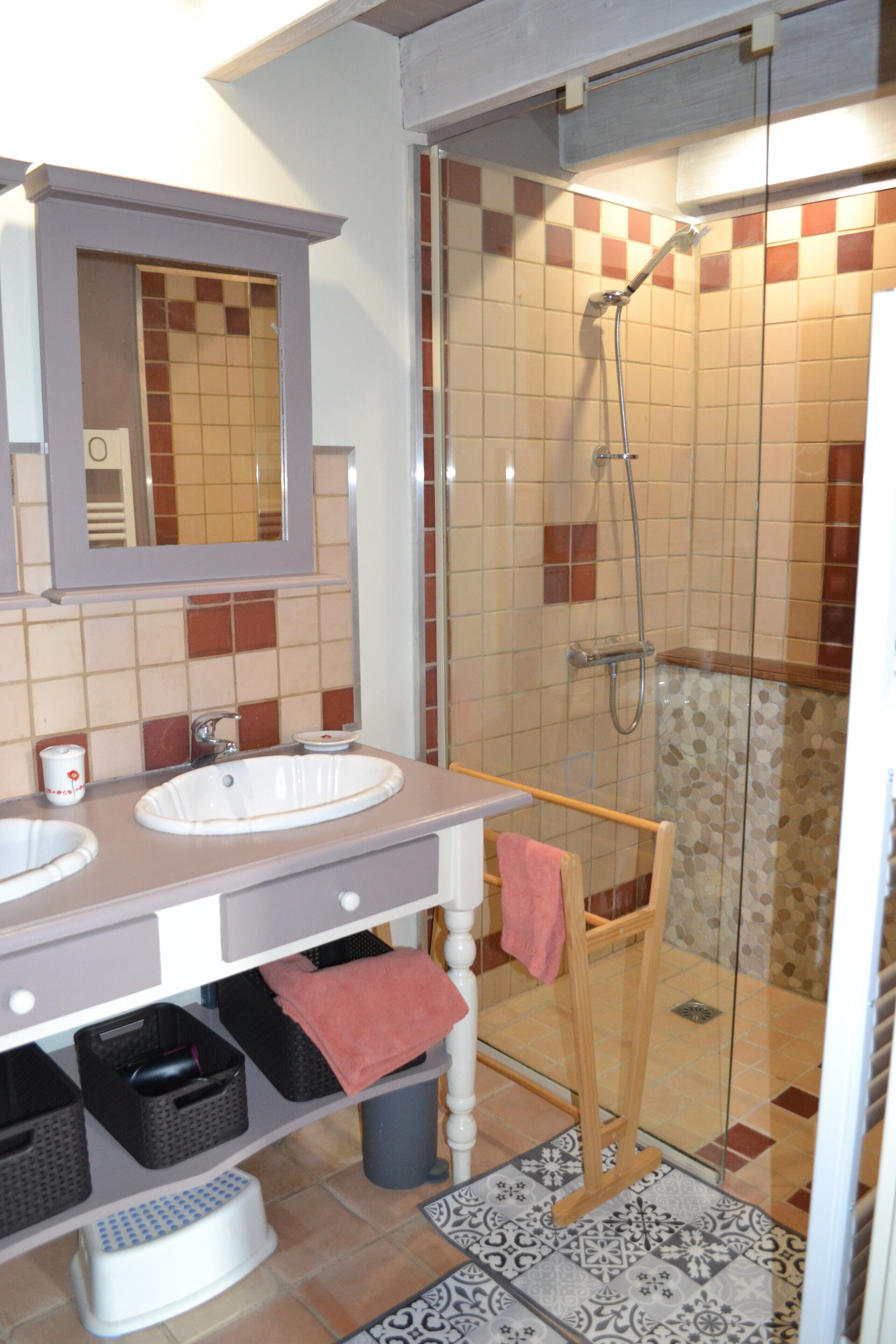 Shower, hair dryer, towels