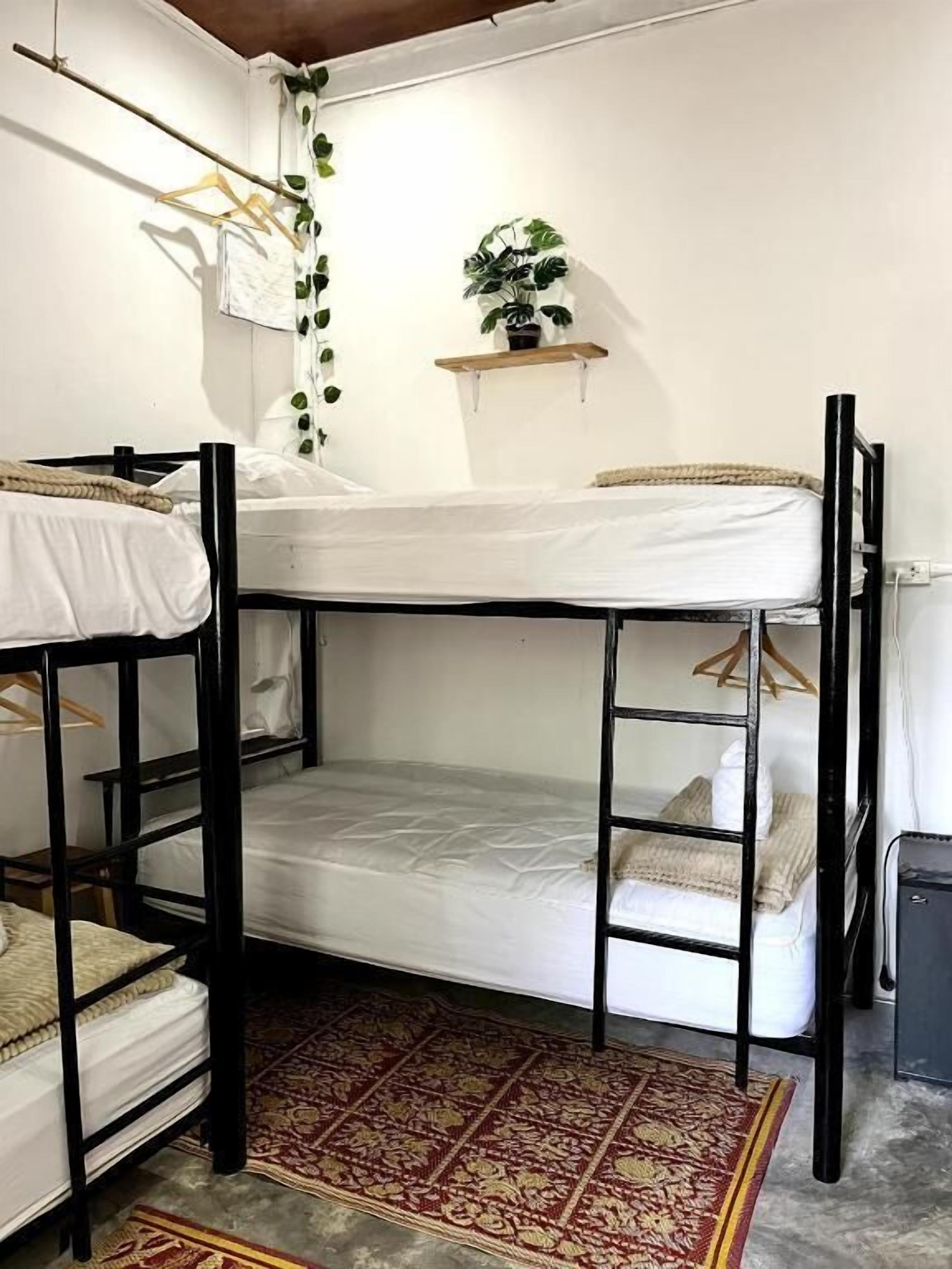 A bunk bed room with a patterned rug, a shelf with a plant, and a hanging rack with clothes.