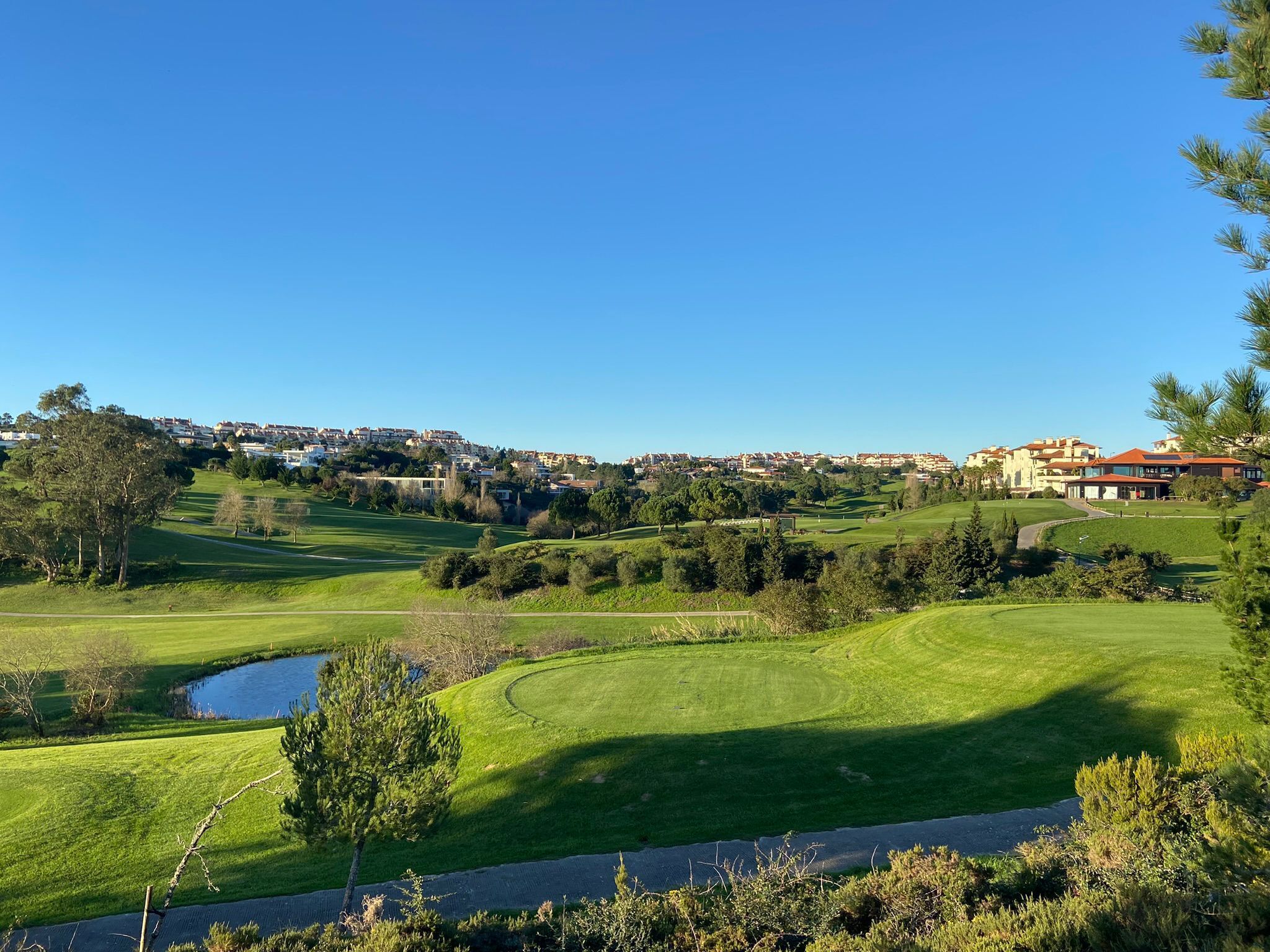 A golf course with a pond, trees, and a residential area in the background.