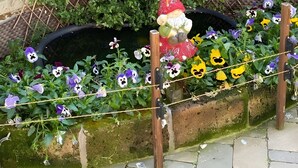 A garden with a decorative gnome, a brick wall, and flowering plants. - Apartment 'Centenario Affittacamere' with Wi-Fi and Air Conditioning (Fara Novarese)