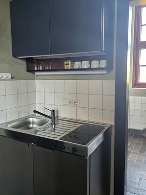 Classic Apartment, Park View | Private kitchen - Schloss Schmarsow (Kruckow)