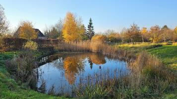 A pond surrounded by grass and trees with autumn foliage, reflecting the sky and nearby trees.