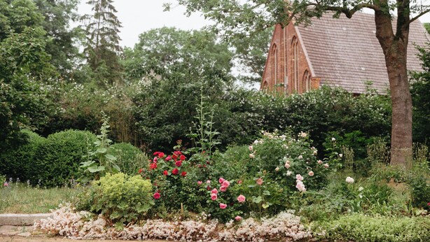 Un jardín con diversas plantas y un edificio al fondo.