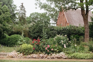 A garden with various plants and a building in the background. - Schloss Schmarsow (Kruckow)