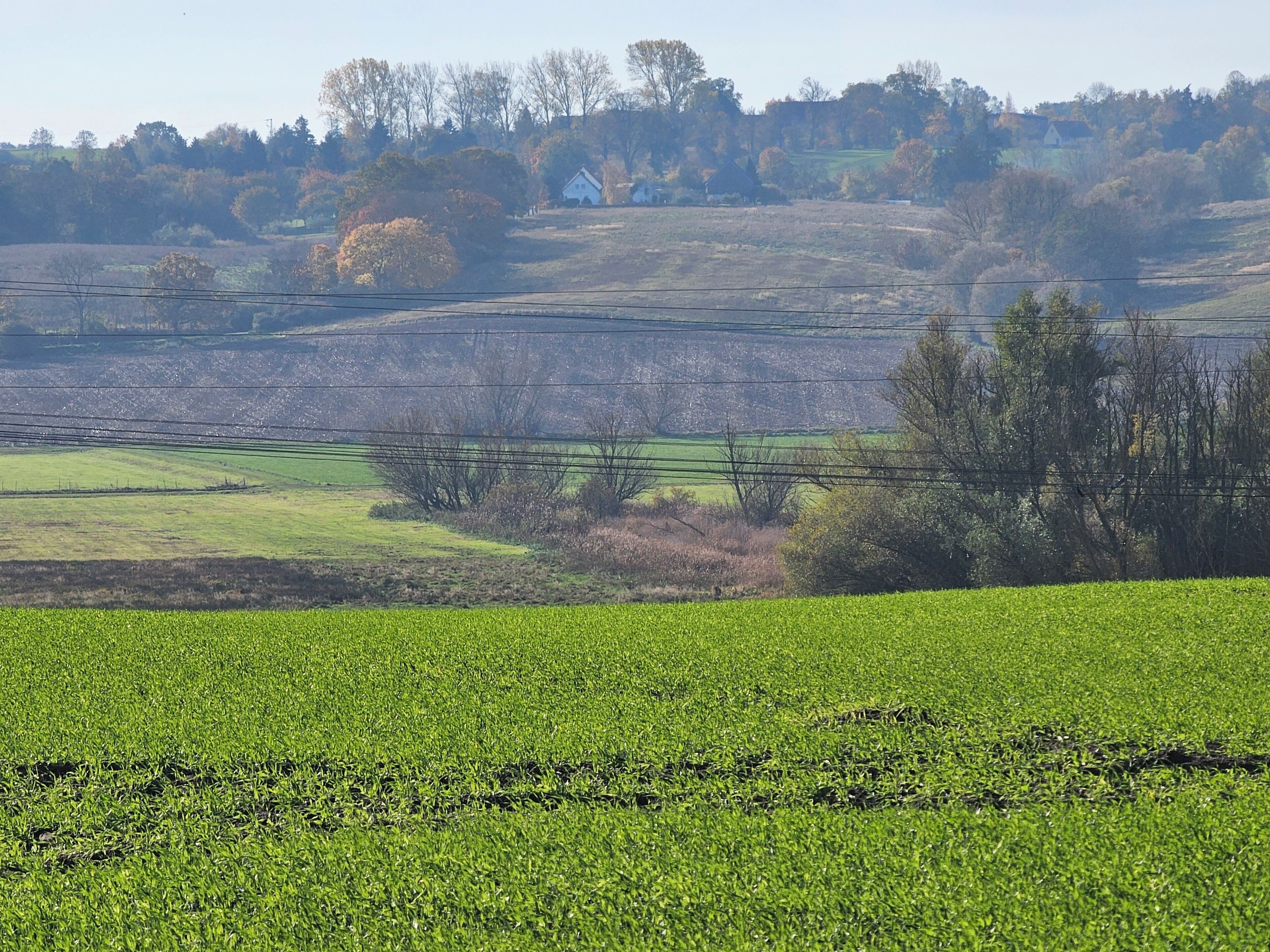 A rural landscape with fields, trees, and a distant building.