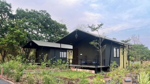 Dos cabañas con zona de estar al aire libre, rodeadas por un jardín con diversas plantas y un sendero de grava.