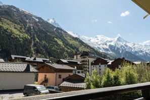 Property grounds - Sommet - Cozy | 5 guests | Central | Mont-Blanc View (Chamonix-Mont-Blanc)