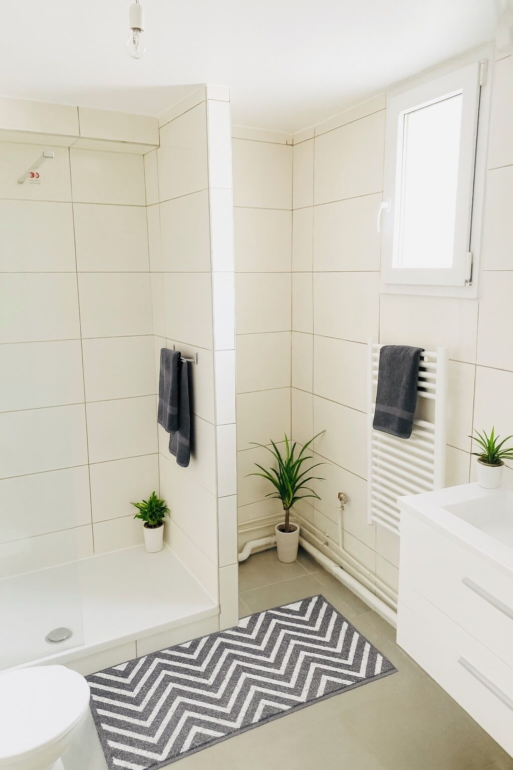 Handtücher, Toilettenpapier