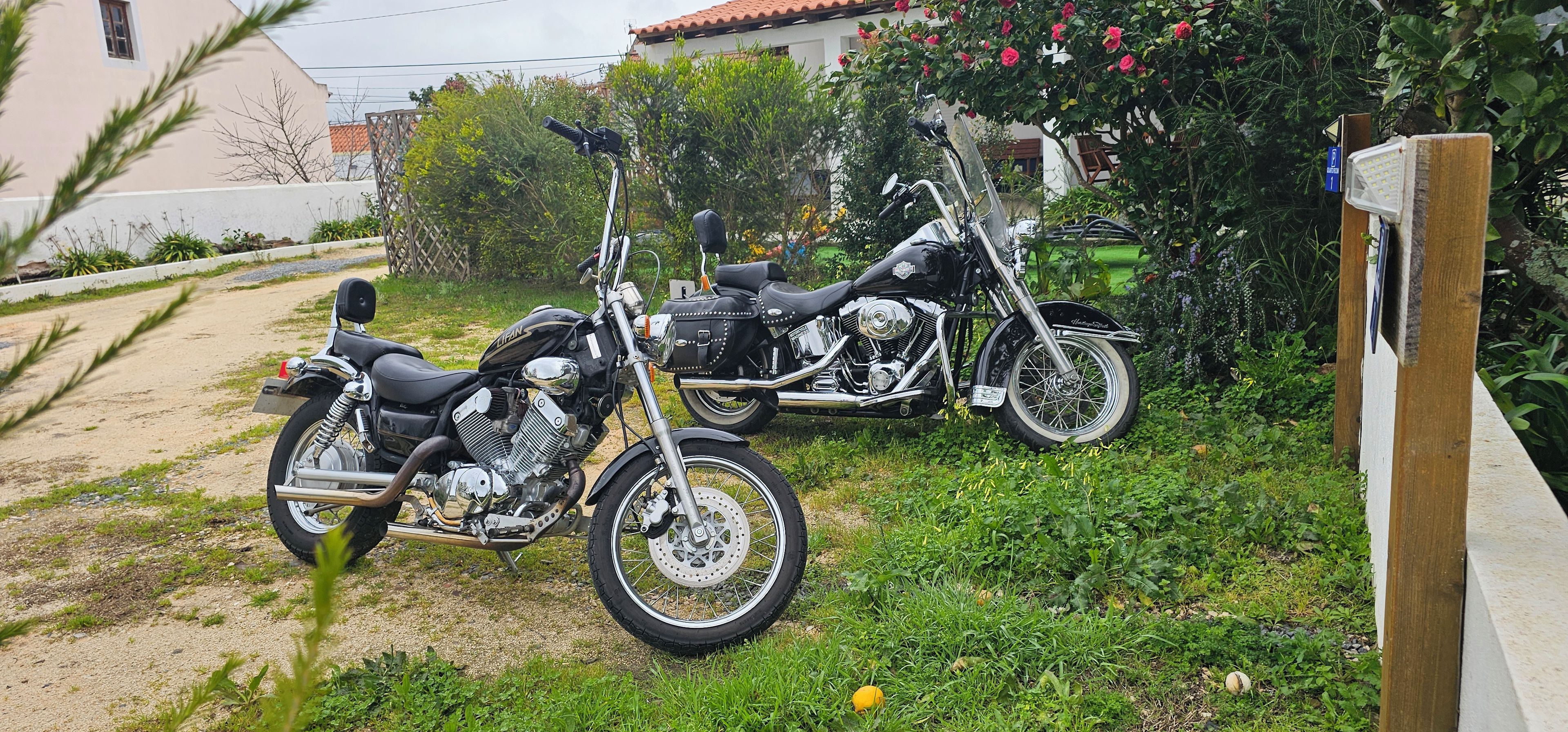 Dos motocicletas estacionadas en un césped, con una casa y jardín al fondo.