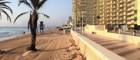 在海灘附近