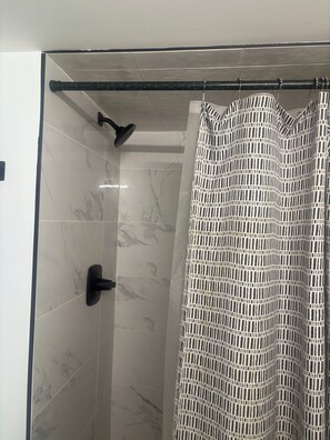 Shower, hair dryer, soap, toilet paper