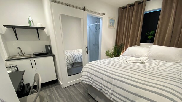 Habitación de hotel moderna con cama, escritorio con plancha, una silla, zona de ducha y planta en maceta.