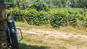 A blue motorcycle parked on a dirt path with a stone wall on the left and lush green foliage in the background. - Bonjardim Boutique Farm House By Gt House (Serta)
